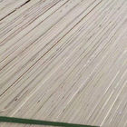 Ο ξύλινος καπλαμάς λευκών αντιμετώπισε το κοντραπλακέ εμπορικού βαθμού ενός χρόνου καυτό υλικό πυρήνων Τύπου πλήρες